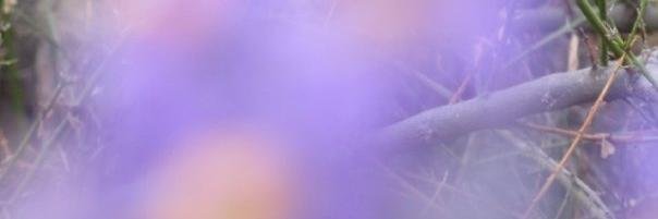 estarcuatico's profile banner image