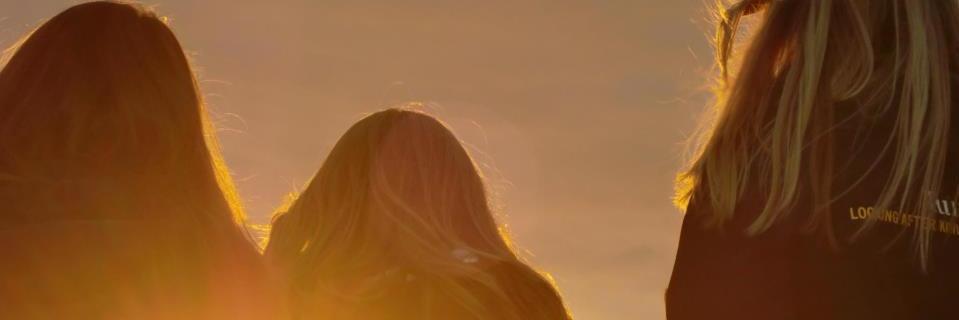 ameliesiev's profile banner image