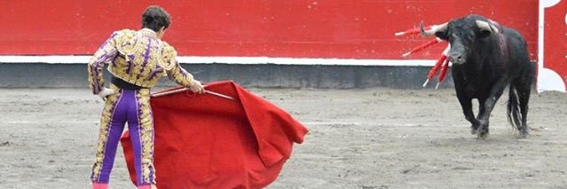 Tomas Angulo banner