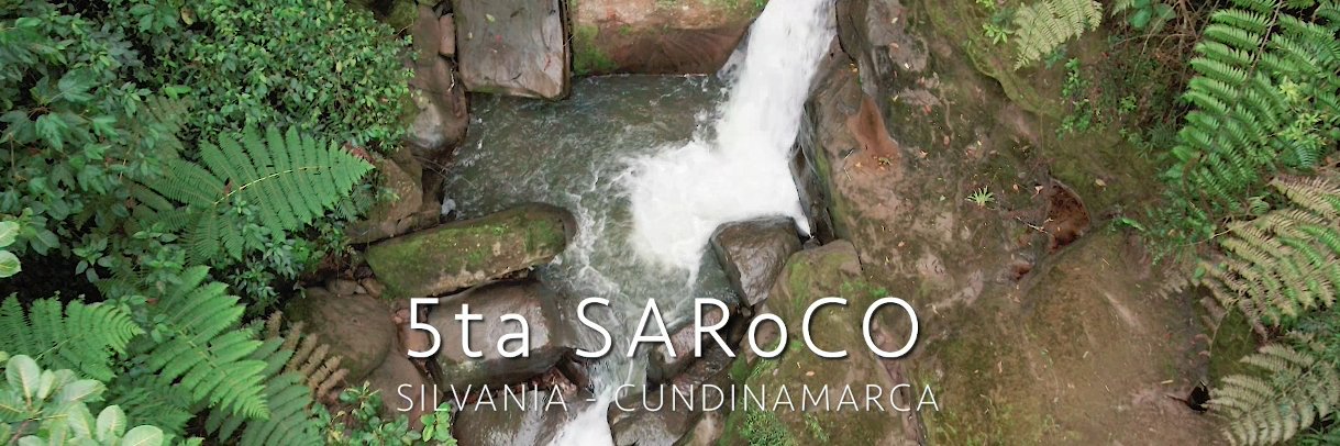 5tasaroco's profile banner image
