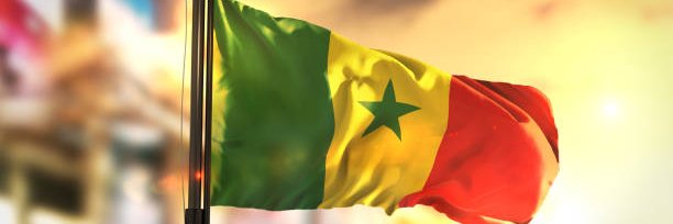 🇸🇳⭐️⭐️Senegal Rek & 🇵🇸 Free Palestine banner