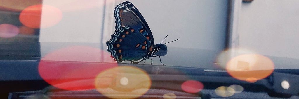 PensylToUrPaper's profile banner image