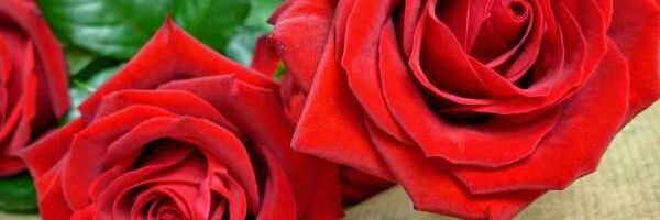 __vip__q8's profile banner image