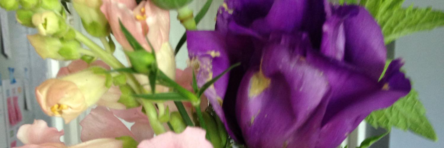 MrsWorcester611's profile banner image