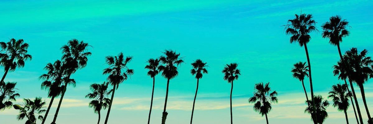 SocialSimmy's profile banner image