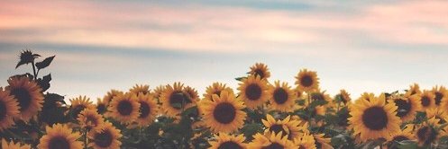 elarafah_'s profile banner image