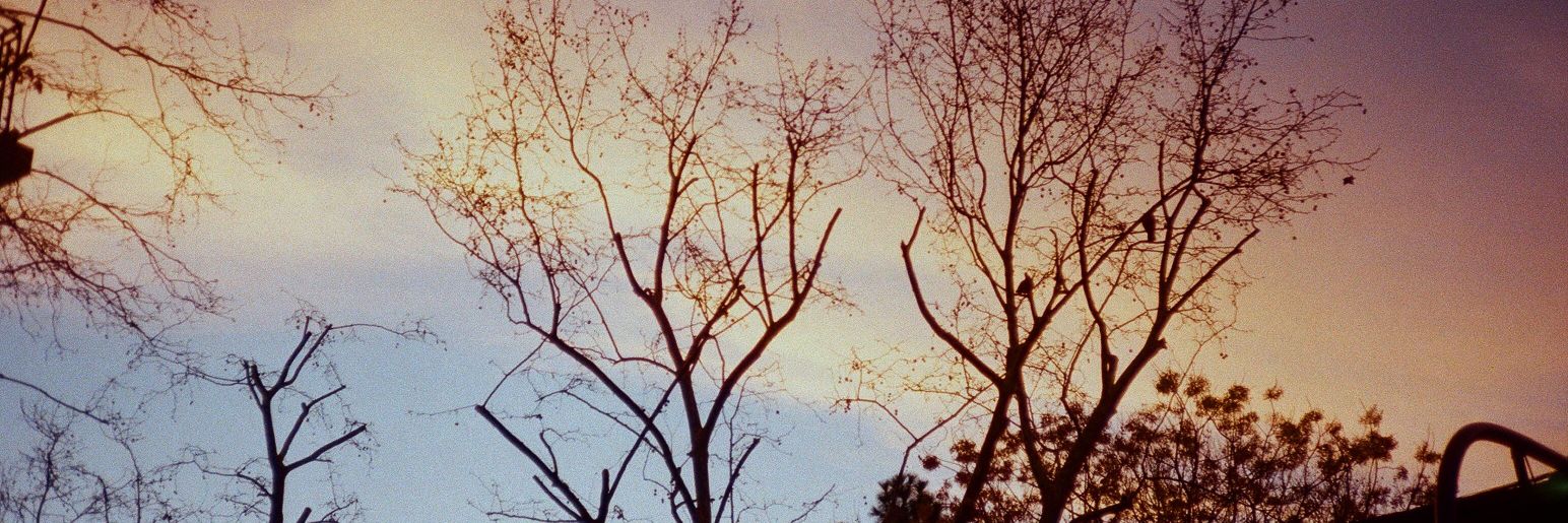 MaiuRodriguez's profile banner image