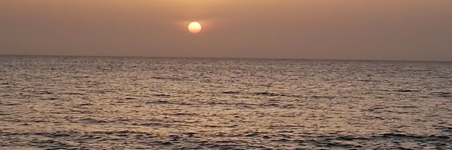 lichidguz's profile banner image