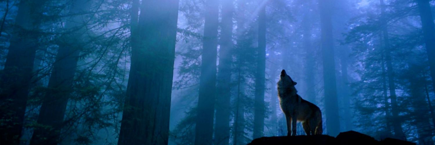 blair oliver martin banner