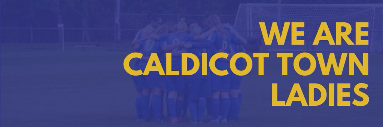 Caldicot Town Ladies Profile Banner