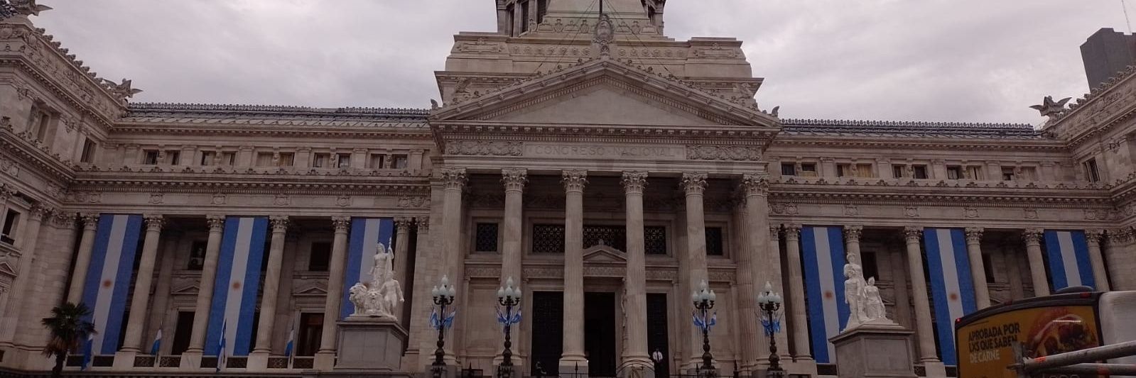 Carly🇦🇷 banner