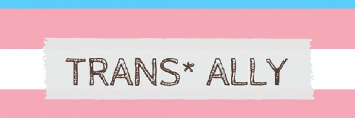 vivalabush's profile banner image