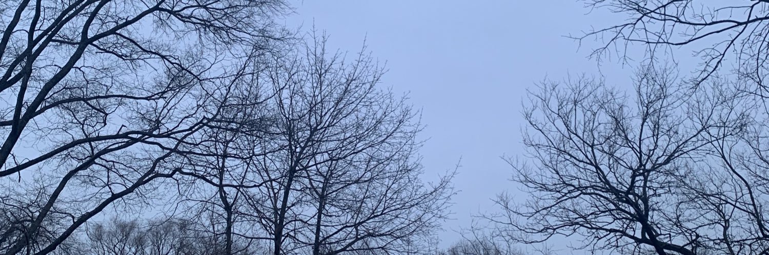 usernumber9921's profile banner image