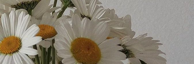 andreaa_mh's profile banner image
