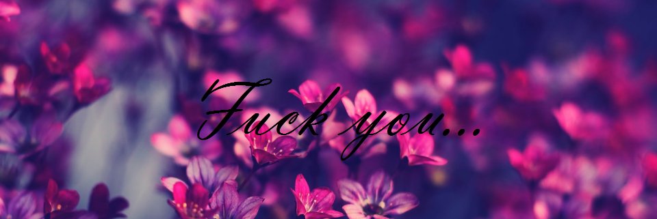 BarbaraCorrea04's profile banner image