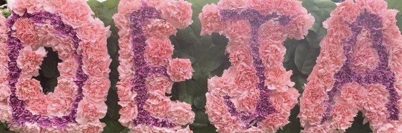 Moee 💲 banner