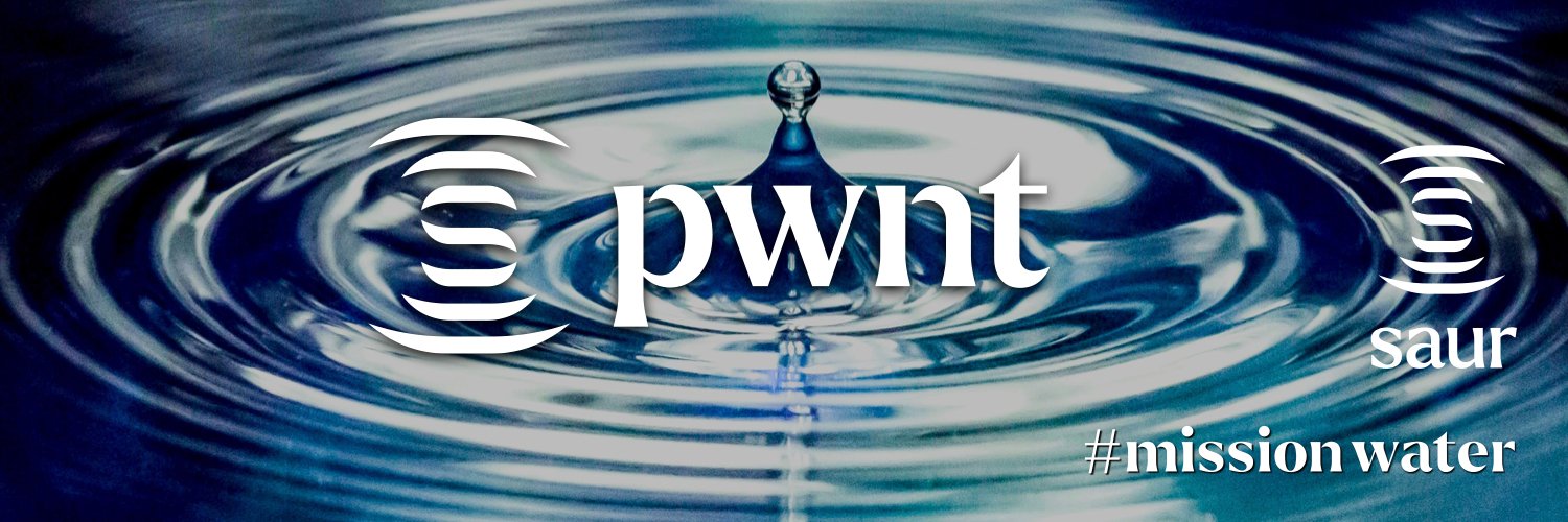 PWNT banner