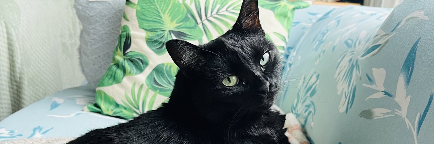 superwavyc's profile banner image
