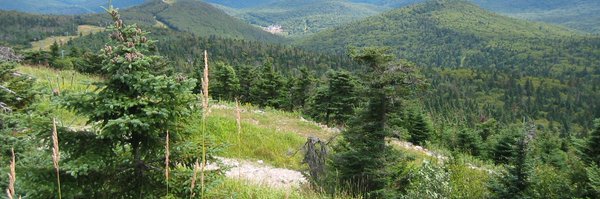 mfgmarcom Profile Banner