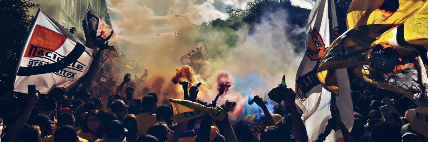 Selena Machín Delgado banner