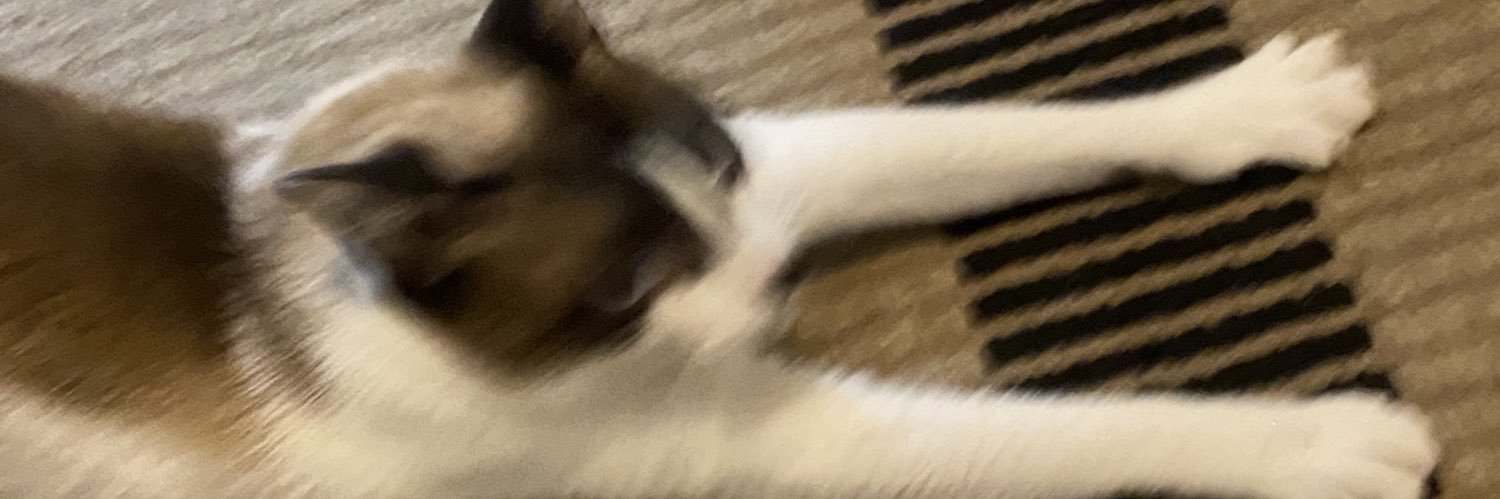 xmbcll's profile banner image