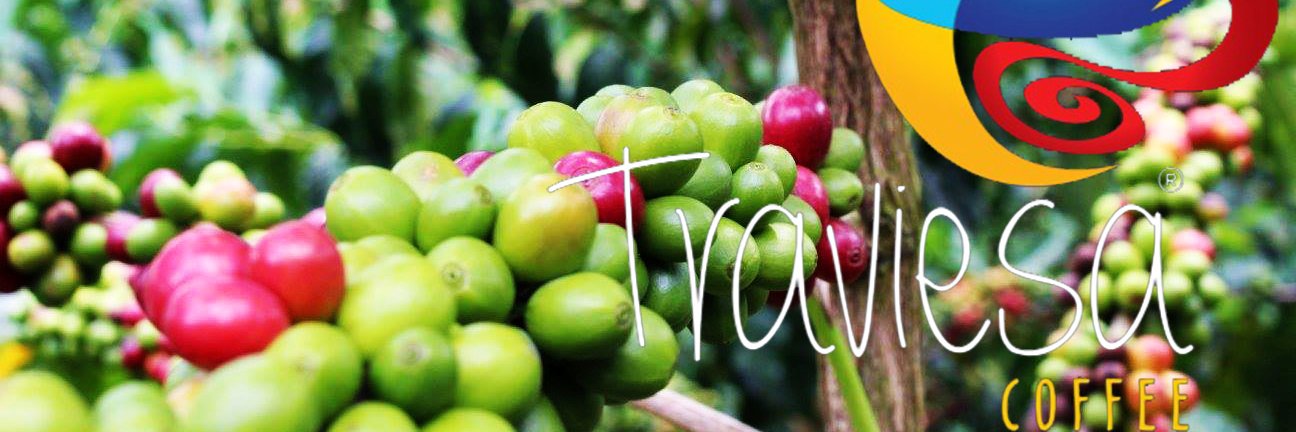 TraviesaCoffee's profile banner image