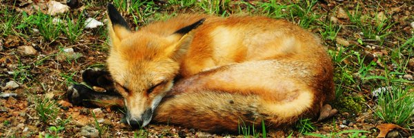 lauramynhier Profile Banner