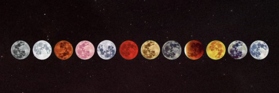 Swoles World 🌍 banner