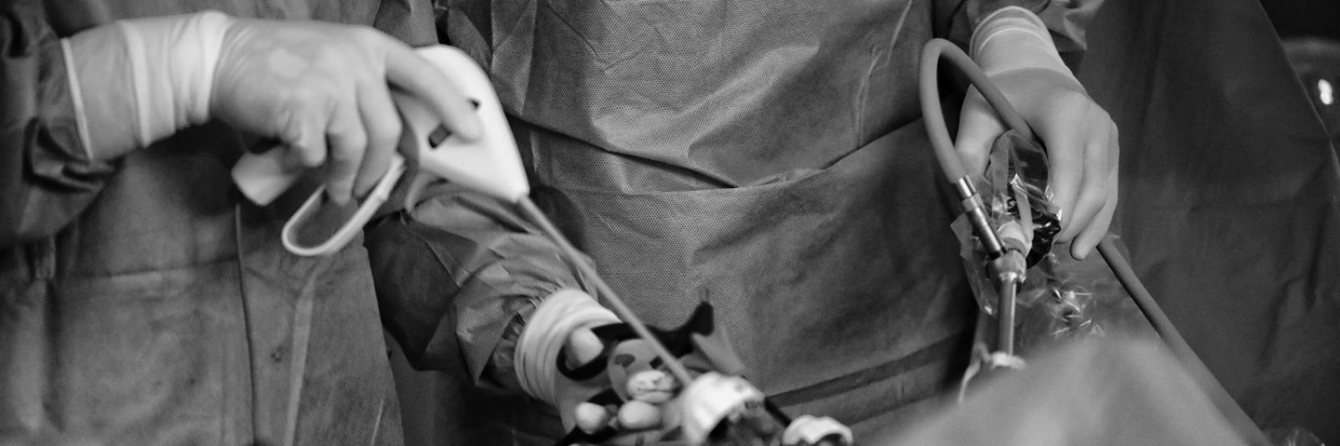 A. Navarro-Sánchez banner