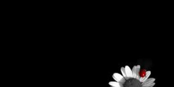 CaraOtten's profile banner image
