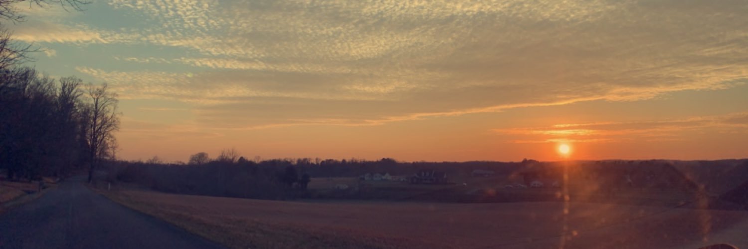 brookbiddle's profile banner image