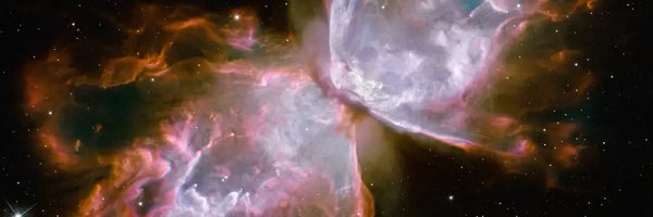 Light_Beetz Profile Banner