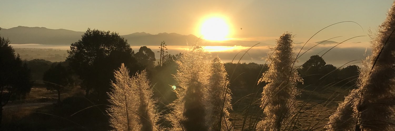 marcs829's profile banner image