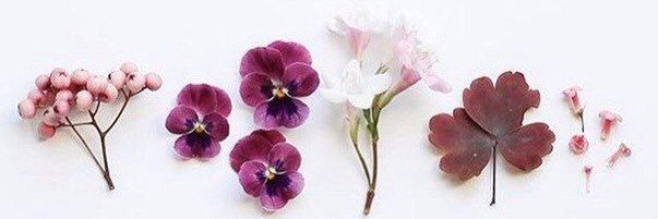 DianeParedes's profile banner image