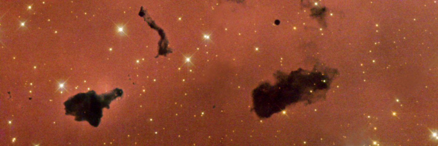 thainazoli's profile banner image