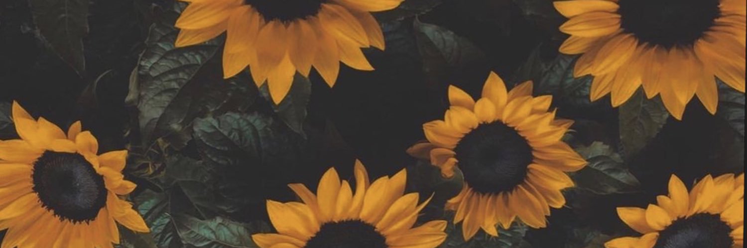 valeherrer's profile banner image