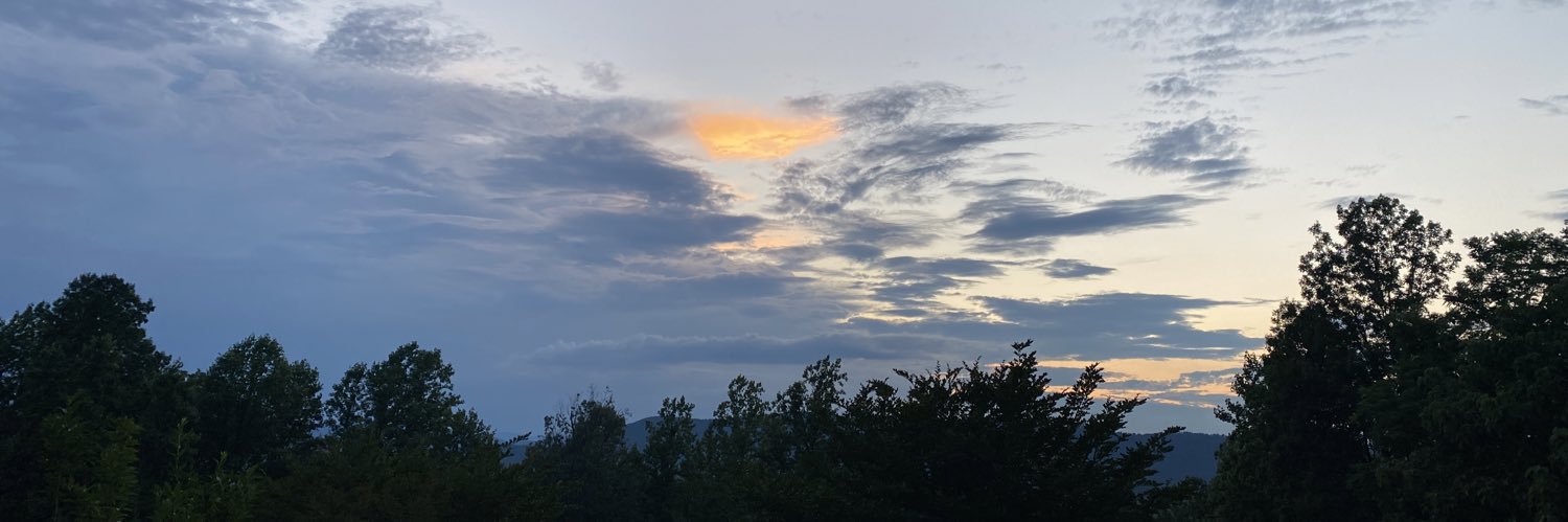 Jessa Campbell banner