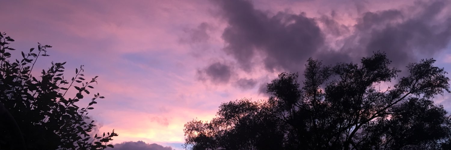 amminniee's profile banner image