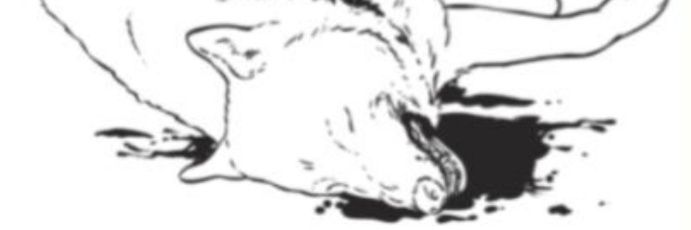 hellhdonh's profile banner image