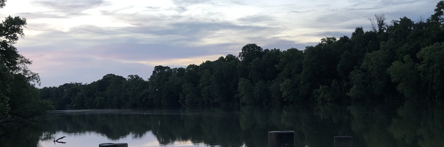 UfoGuy736's profile banner image