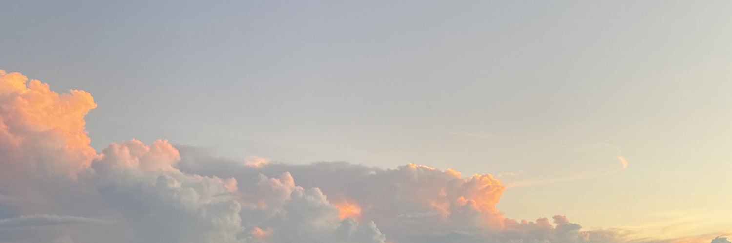 Mya_terry1's profile banner image