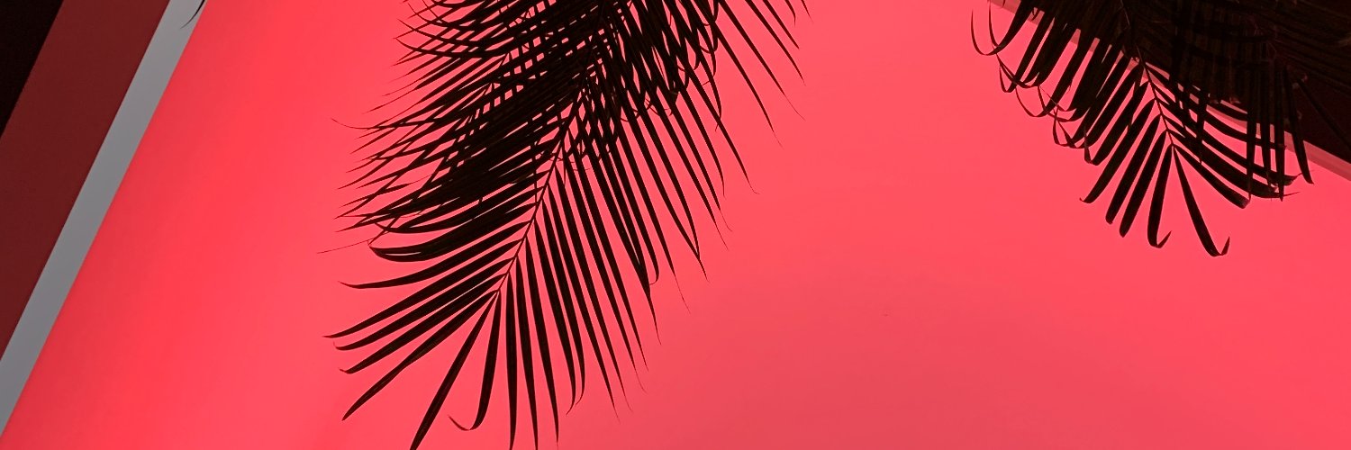 SeedAgency's profile banner image