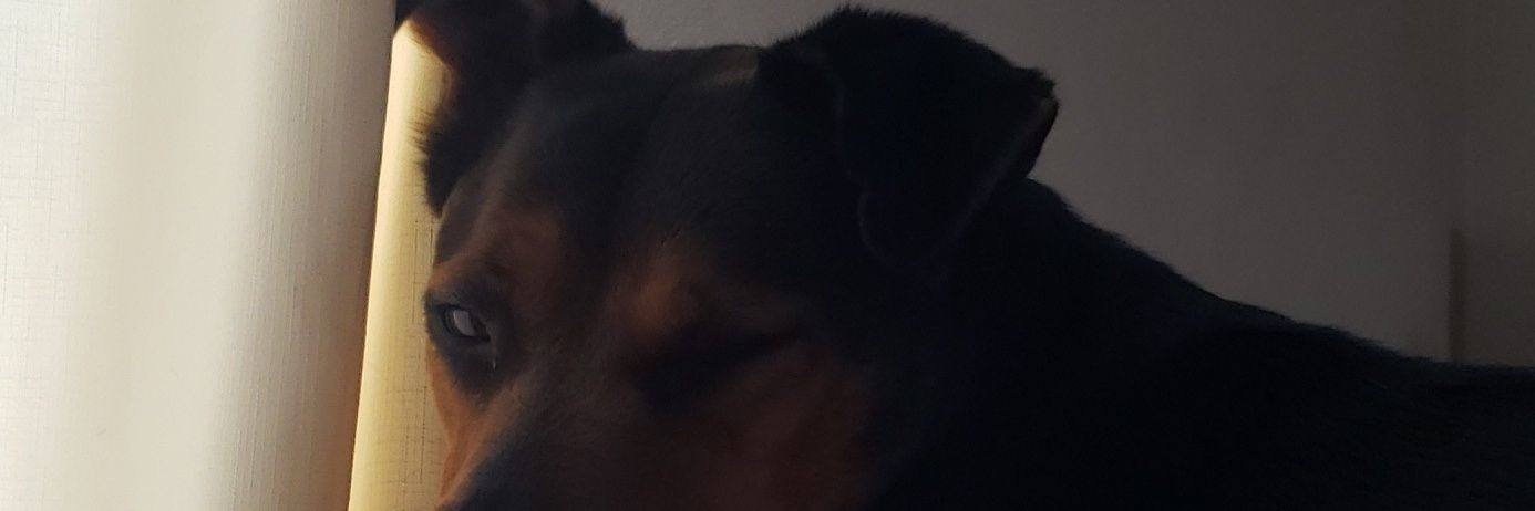 CurlySuave's profile banner image