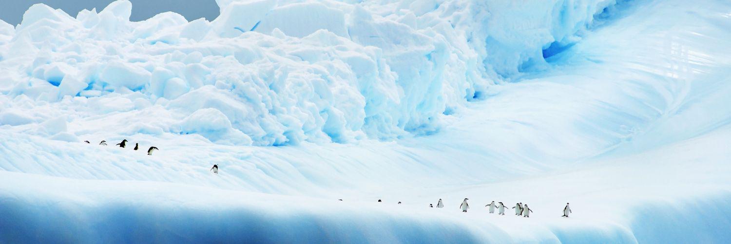 Christipics's profile banner image