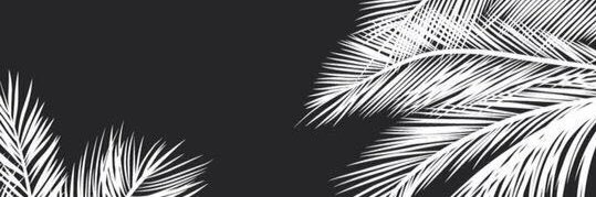 ferdiantri's profile banner image