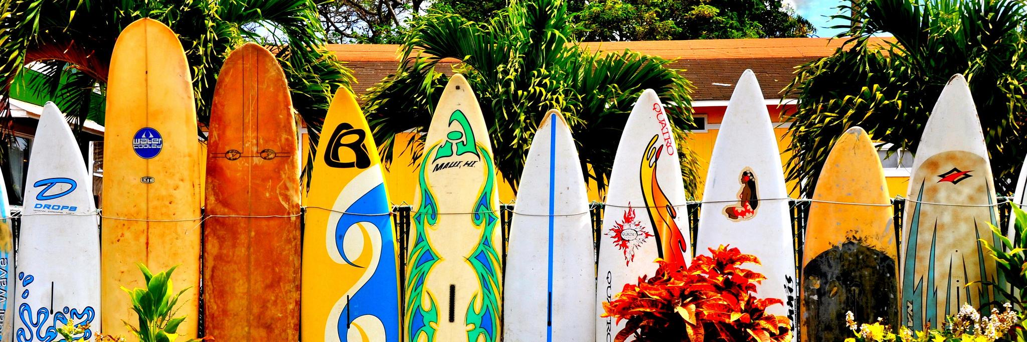 surffactor's profile banner image