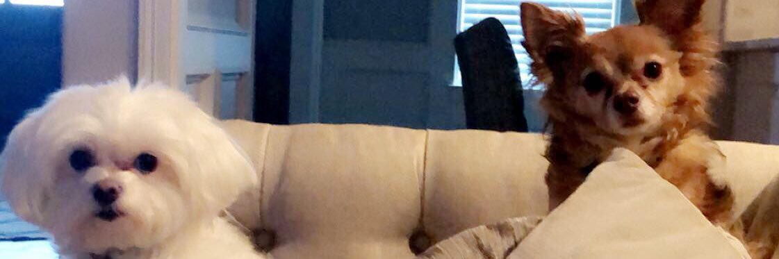 LisaWyatt10's profile banner image
