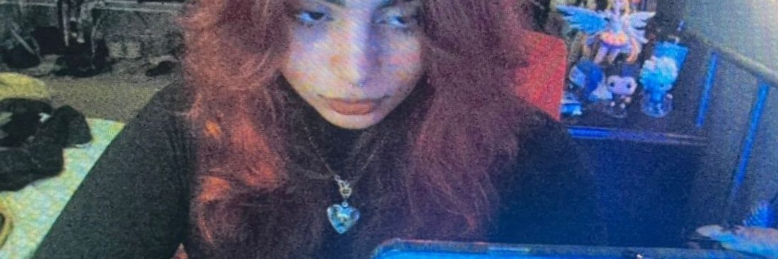 hanswyd's profile banner image