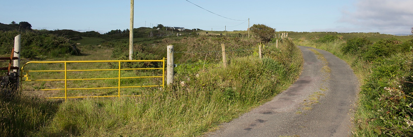 turfprojects_ie's profile banner image