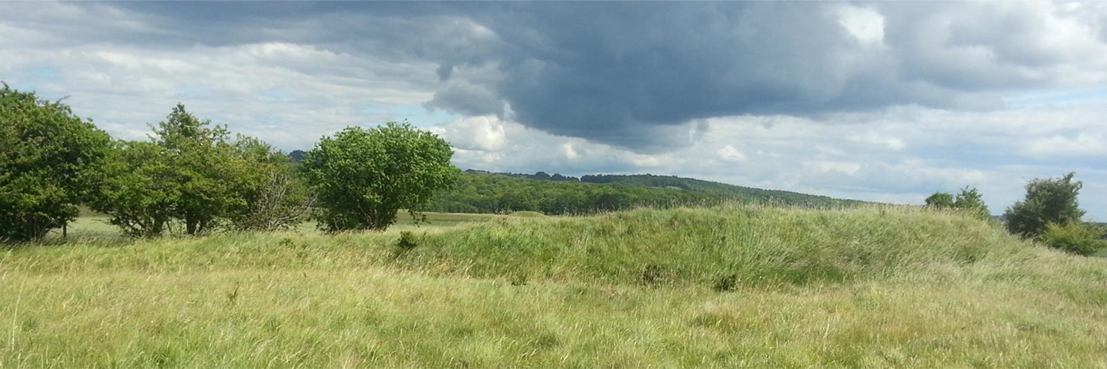 ArchFoundations's profile banner image